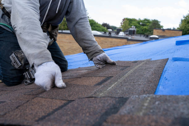 Best Roof Waterproofing Services  in Bonny Doon, CA