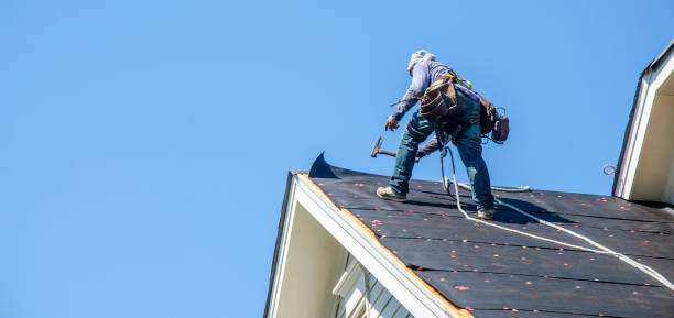 Best Sealant for Roof  in Bonny Doon, CA
